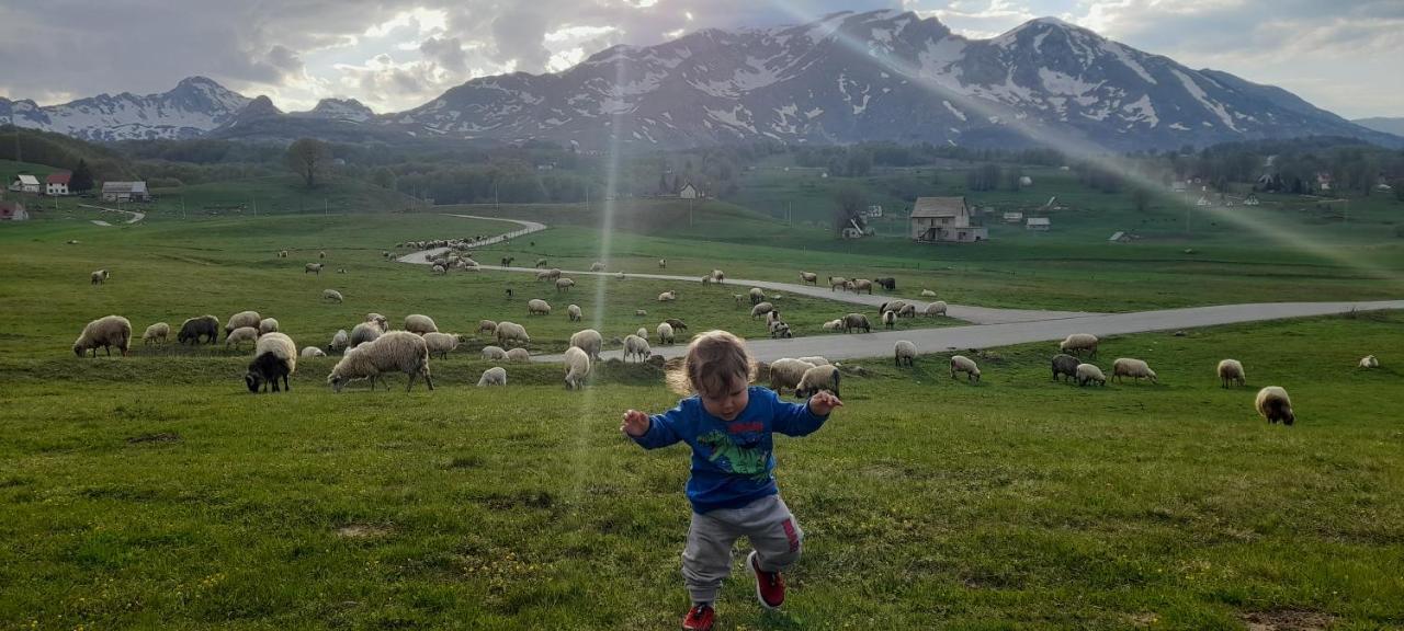ホテル Organic Family Farm Žabljak エクステリア 写真