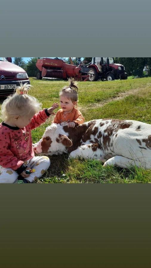 ホテル Organic Family Farm Žabljak エクステリア 写真