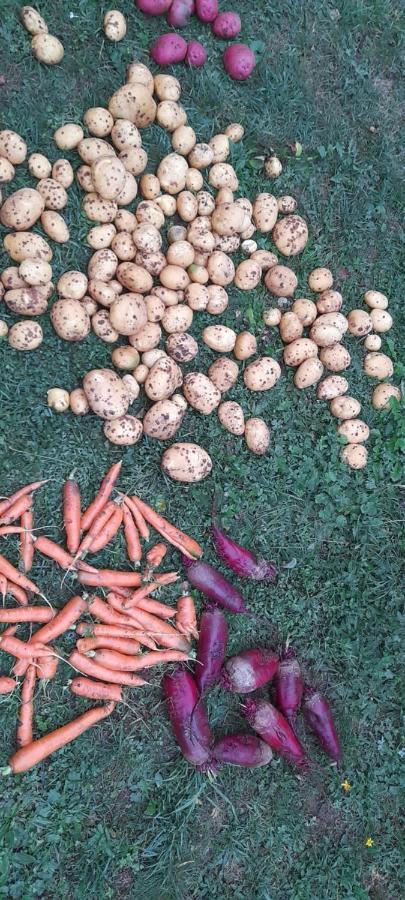 ホテル Organic Family Farm Žabljak エクステリア 写真