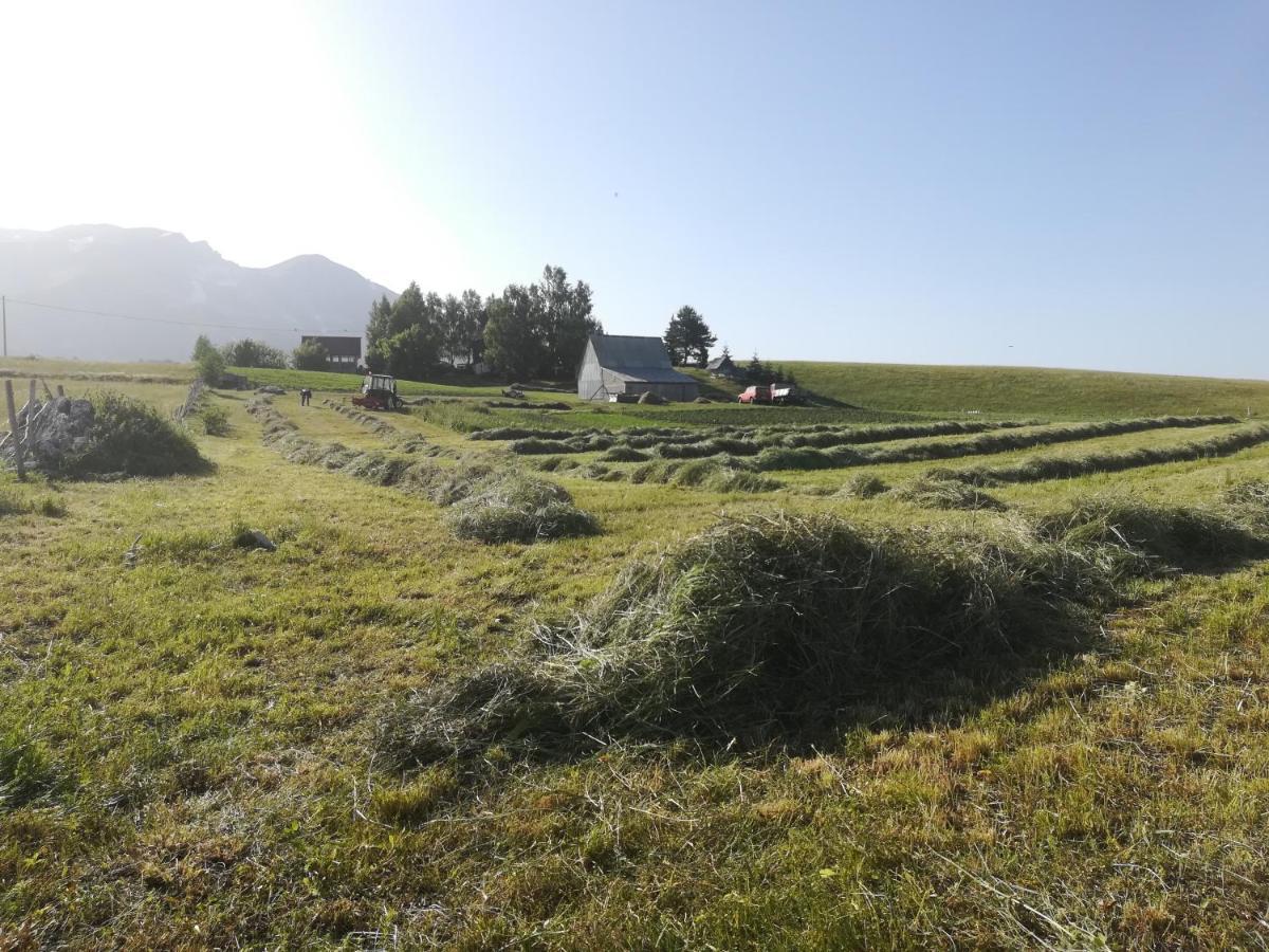 ホテル Organic Family Farm Žabljak エクステリア 写真
