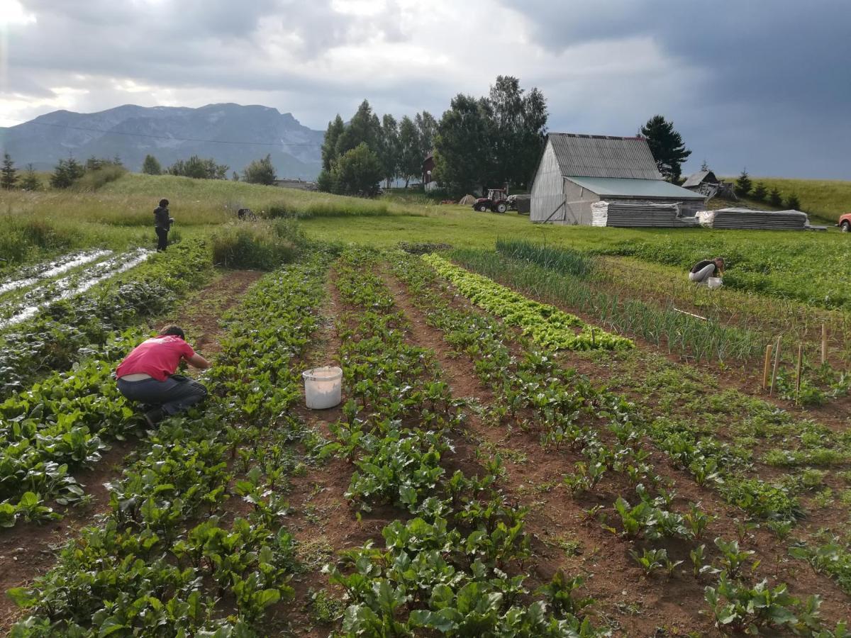 ホテル Organic Family Farm Žabljak エクステリア 写真