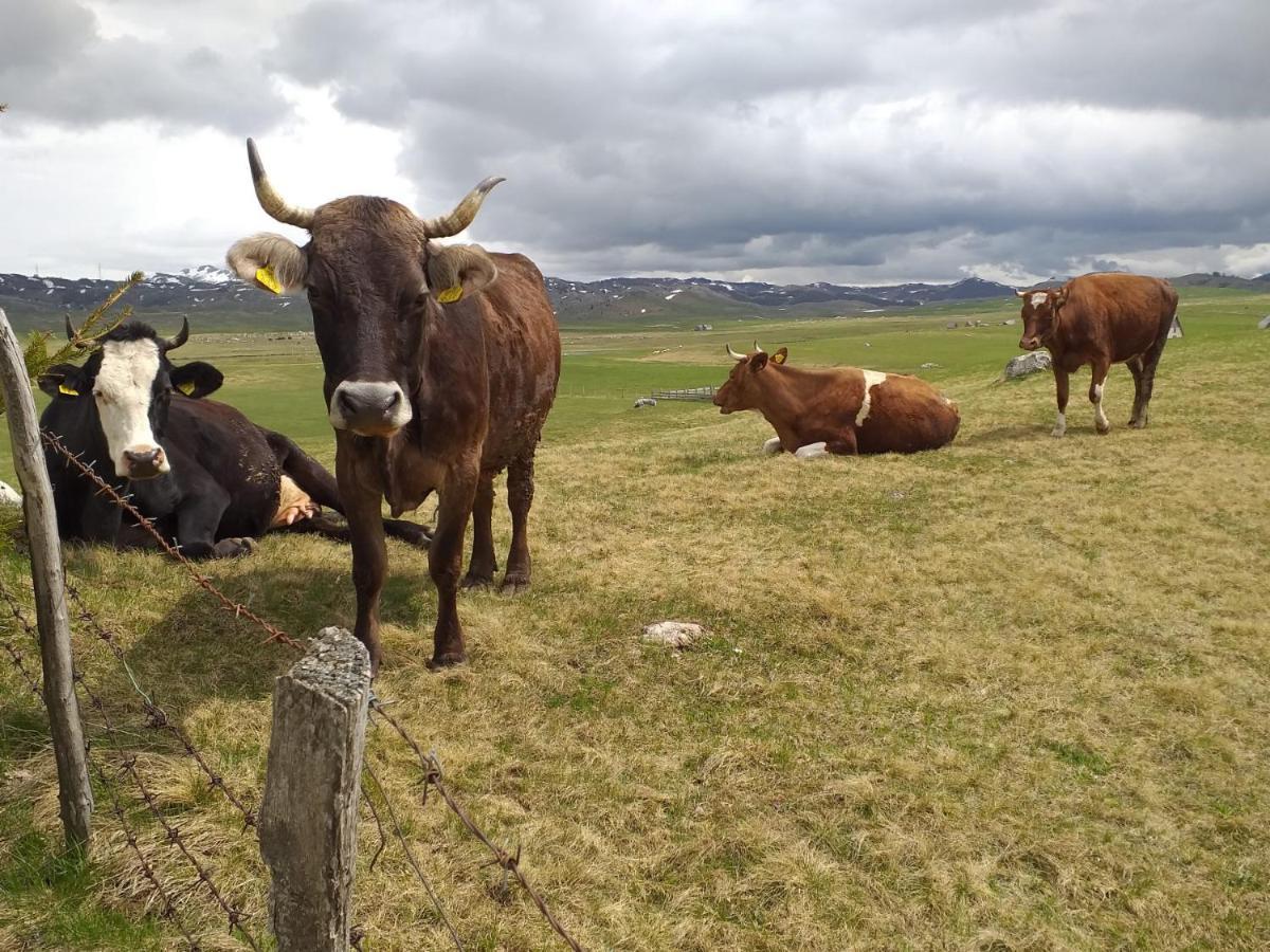 ホテル Organic Family Farm Žabljak エクステリア 写真