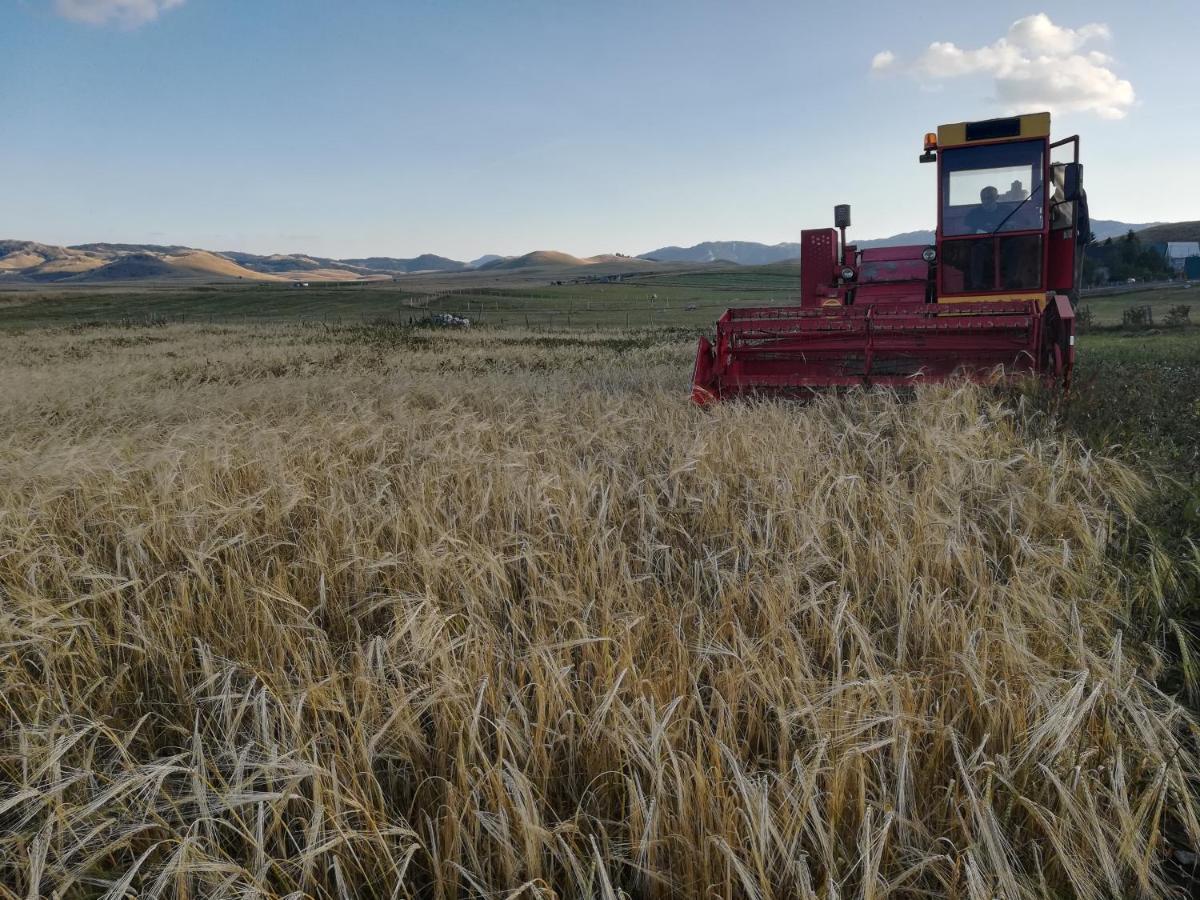 ホテル Organic Family Farm Žabljak エクステリア 写真